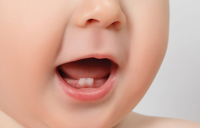 Denti da latte e dentizione